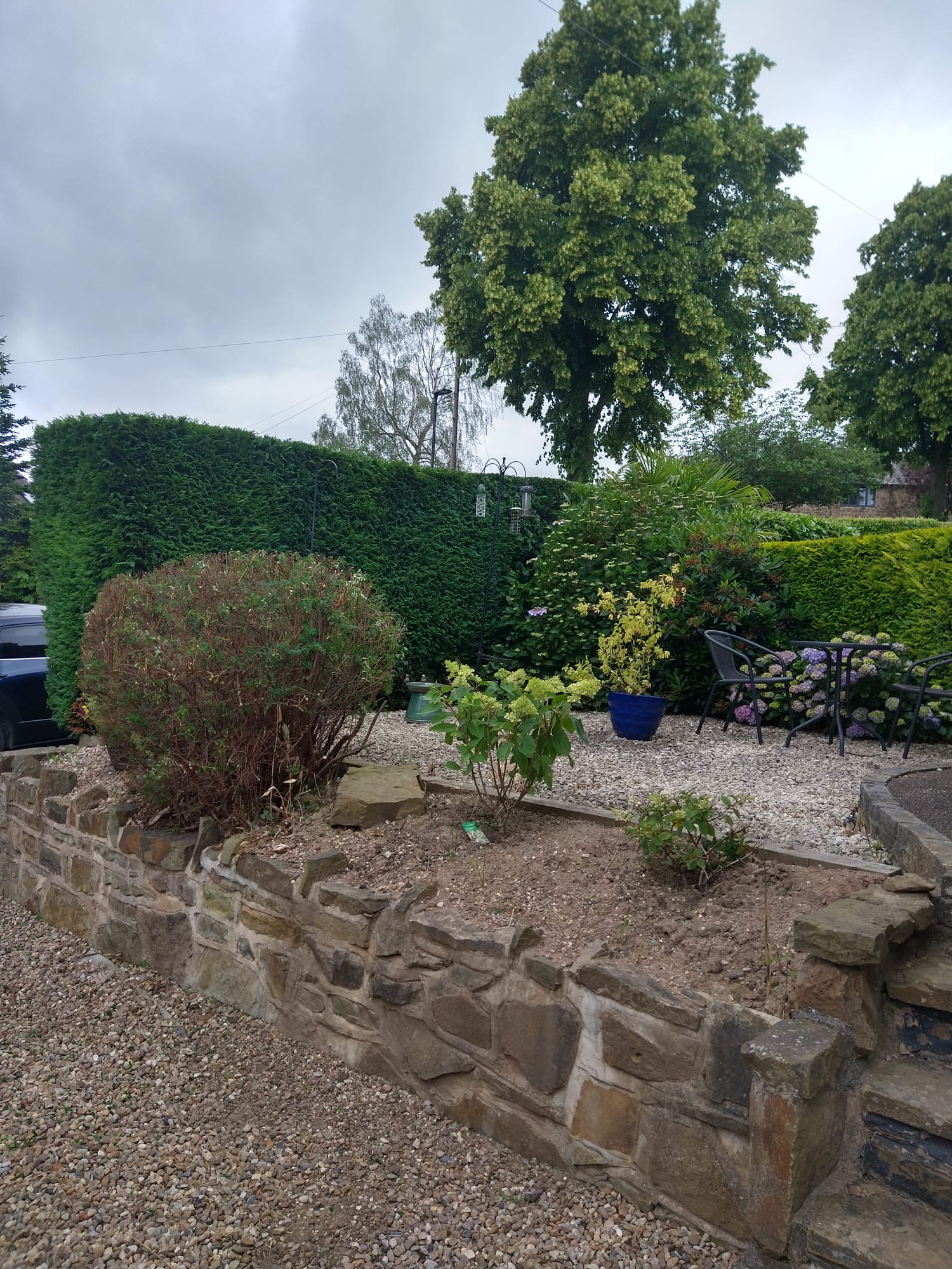 Border tidy & garden care