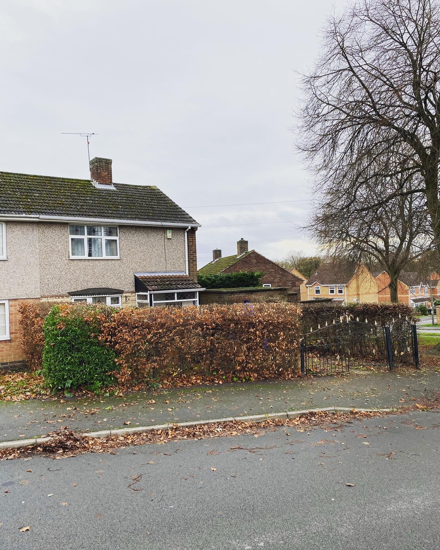 Roadside hedge trim
