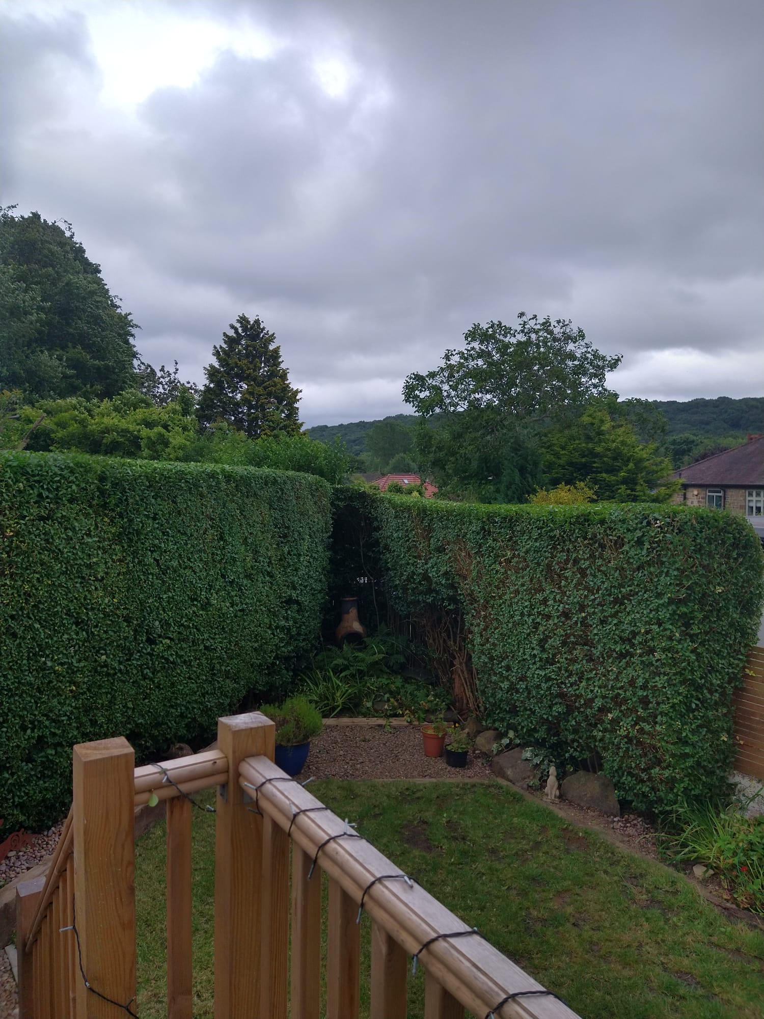 Hedge reduction & shaping